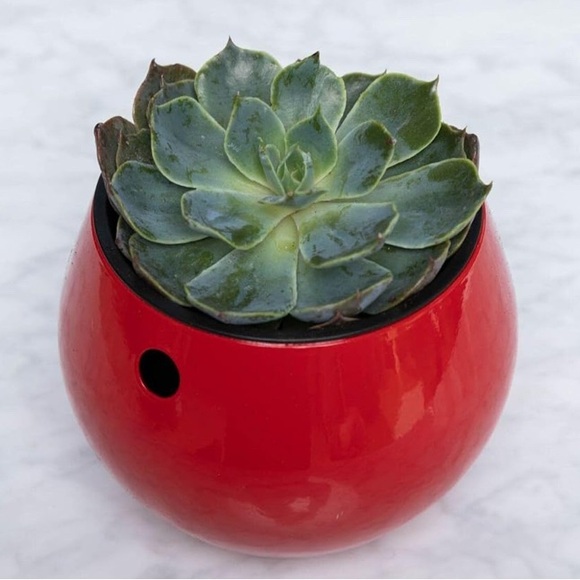 Sold - Picture 6 of 6